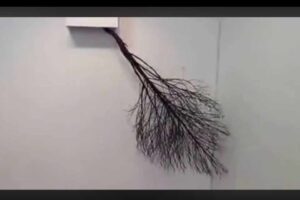 Marks left behind, 2012 by G.R. Iranna