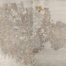 Beautiful Burning Tree (Diptych), Silver foil on paper, 60 x 80 inches, 2016