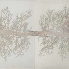 Being Lighter (Diptych), Ash on paper, 47 x 108 inches, 2016