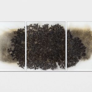 Floating branches, Ash and ink on paper, 2024