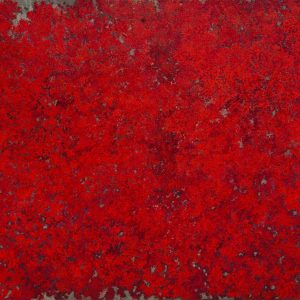 Floating red blossom, Acrylic on tarpaulin, 5.5x7ft, 2025