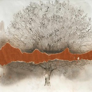 Meditative Tree, Brick dust, charcoal and ink on paper, 42in x 60in, 2018